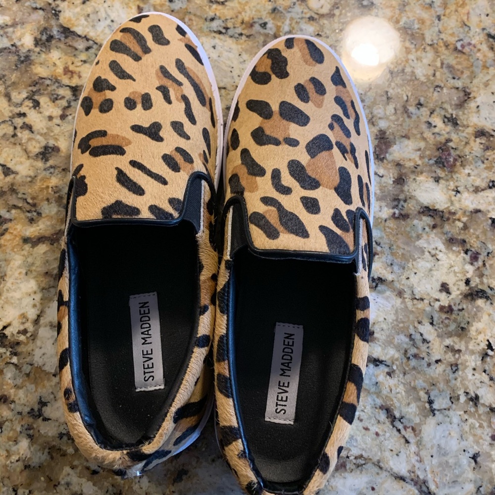 Steve Madden Women’s Ecentrcq Sneaker